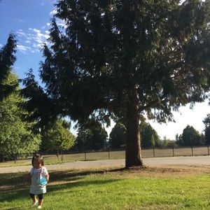 Meet your Posher, Elsa yi ting